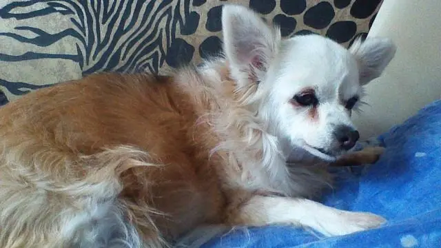 Andachtsbild von Gaby