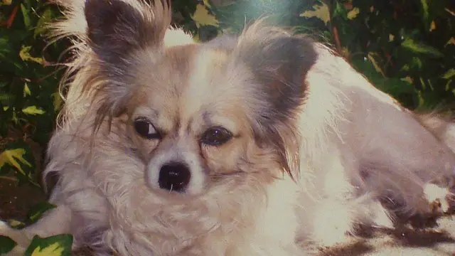 Andachtsbild von Gaby 