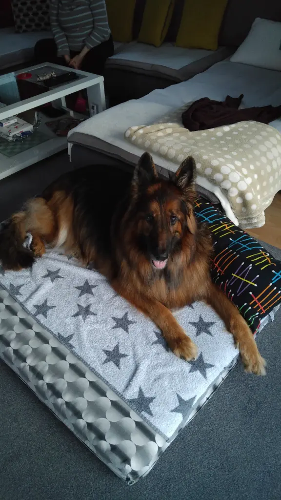 Andachtsbild von Klaudia mit Misiu❤❤❤