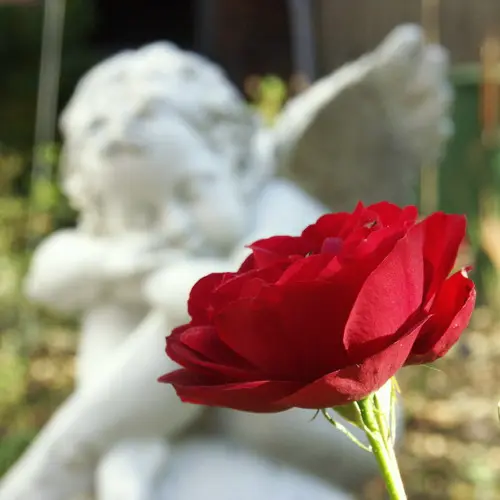 Andachtsbild von Gaby 