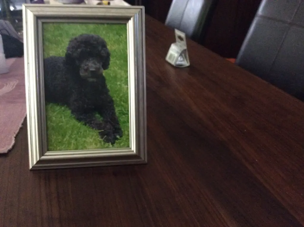 Andachtsbild von Heidi 