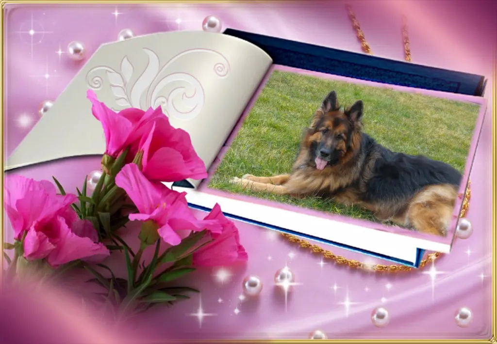 Andachtsbild von ❤❤❤Liebe Misiulek❤❤❤