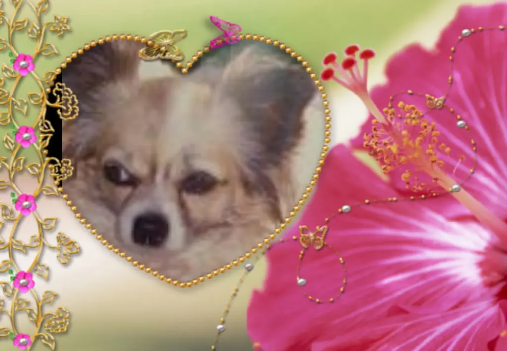 Andachtsbild von Fur Liebe Peggy❤