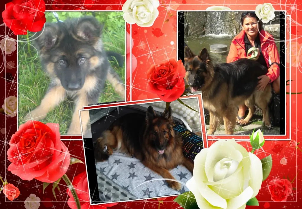 Andachtsbild von Meine Uber Alles Liebe Misieńku❤❤❤