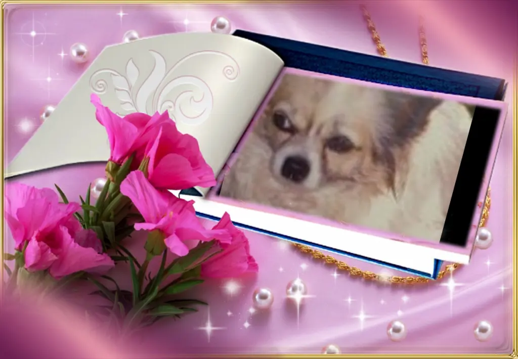 Andachtsbild von Klaudia mit Misiu❤❤❤