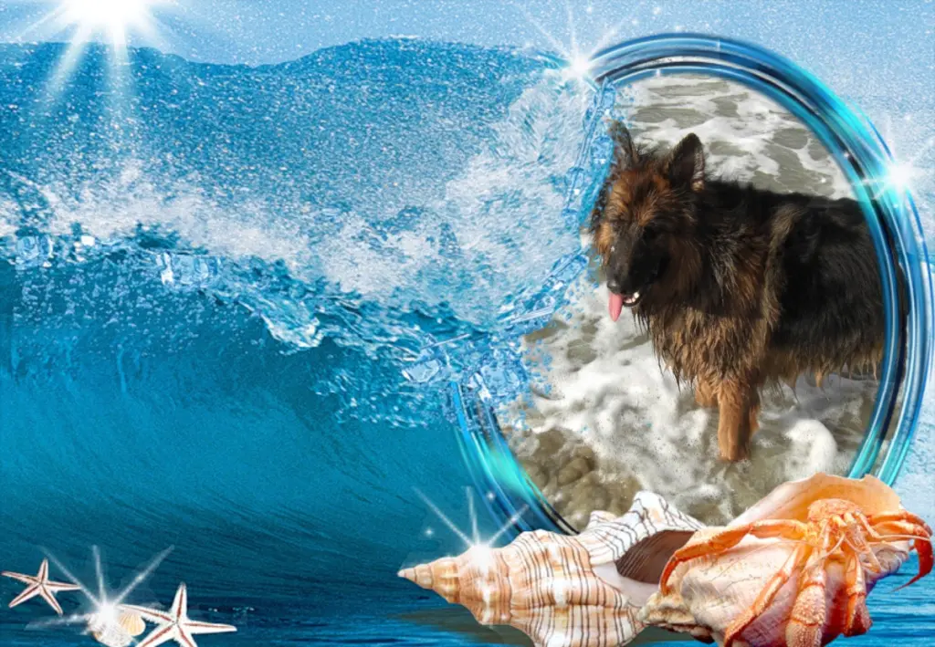 Andachtsbild von Klaudia mit Misiu❤❤❤