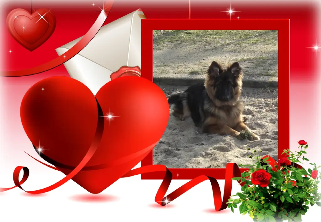 Andachtsbild von ❤❤❤Misiulek❤❤❤