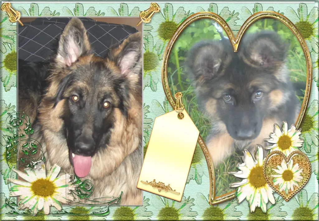 Andachtsbild von Klaudia mit Misiu❤❤❤