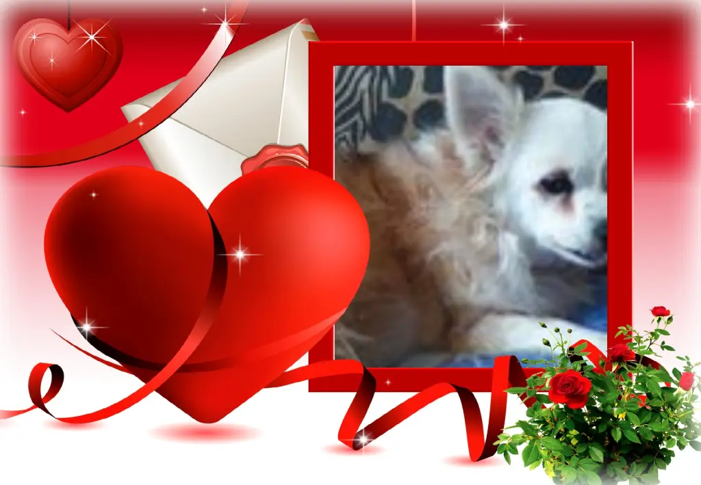 Andachtsbild von Klaudia mit Misiu❤❤❤