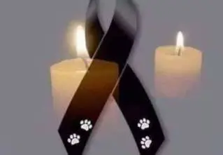 Andachtsbild von Gaby 