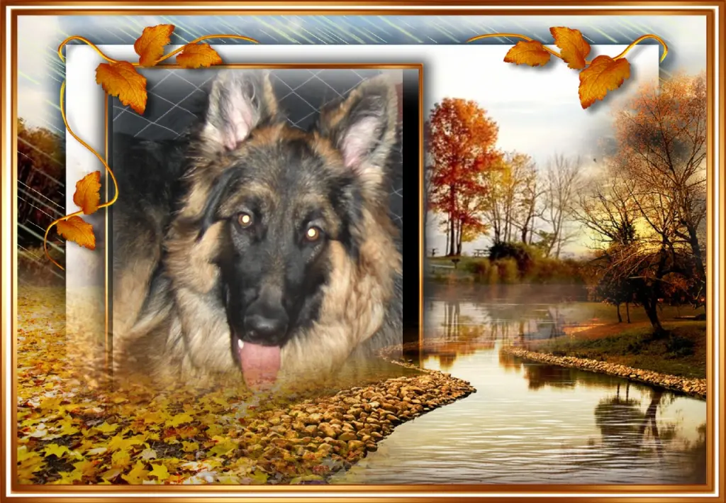 Andachtsbild von ❤❤❤Misiulek❤❤❤