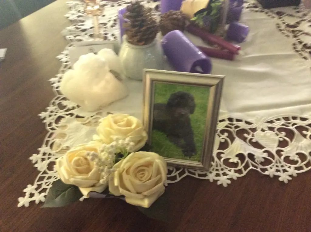 Andachtsbild von Heidi mit Misiu 