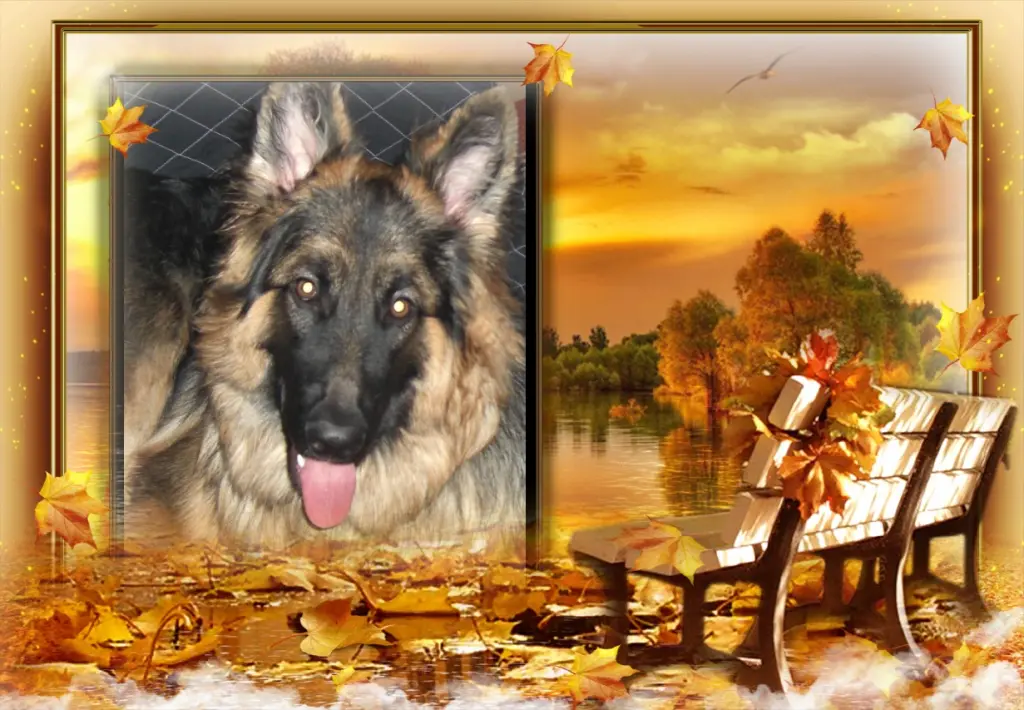 Andachtsbild von ❤❤❤Misiulek❤❤❤-