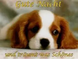 Andachtsbild von Fur Peggy❤und Schnucki❤