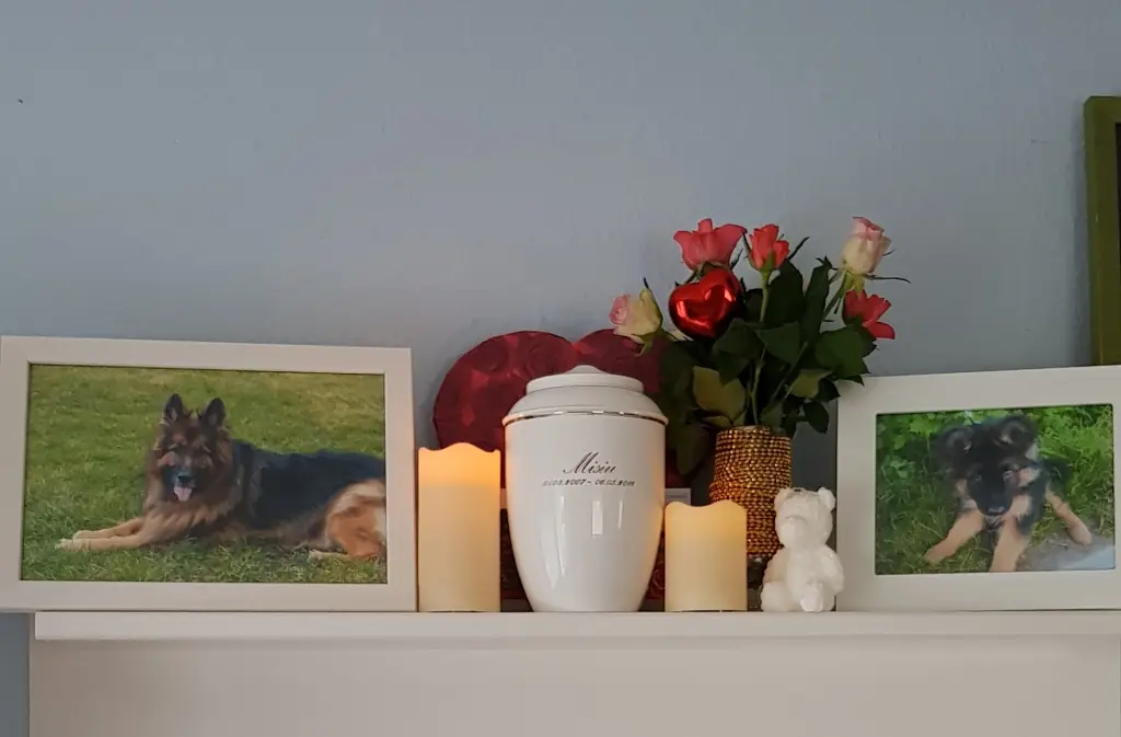 Andachtsbild von Klaudia mit Misiu❤❤❤