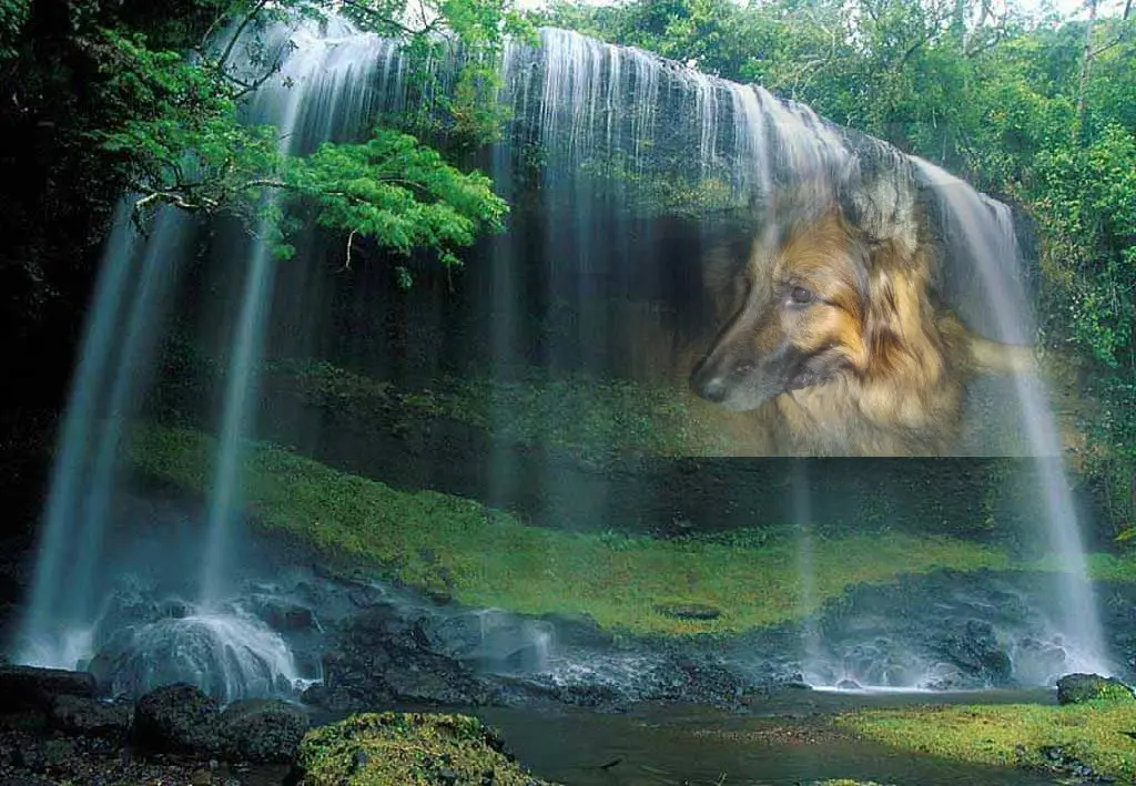 Andachtsbild von ❤❤❤Misiulek❤❤❤-