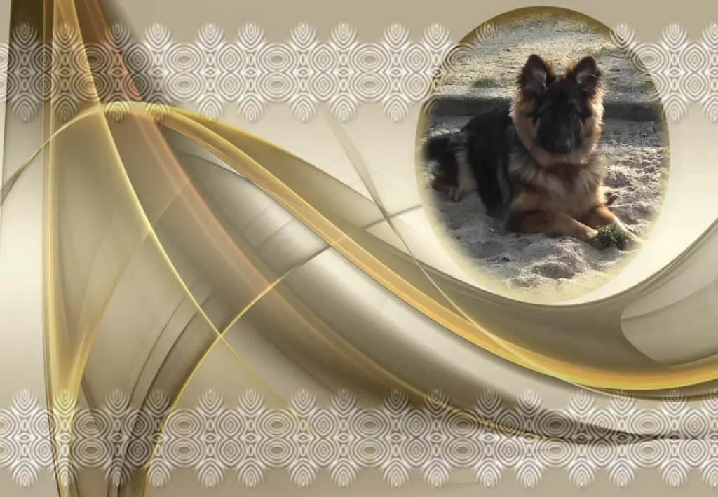 Andachtsbild von ❤❤❤Ukochany Misiulek❤❤❤