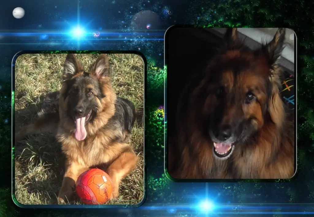 Andachtsbild von ❤❤❤Misiulek❤❤❤-