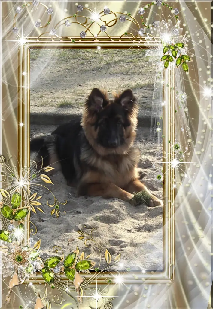 Andachtsbild von ❤❤❤Dla Misiulka❤❤❤