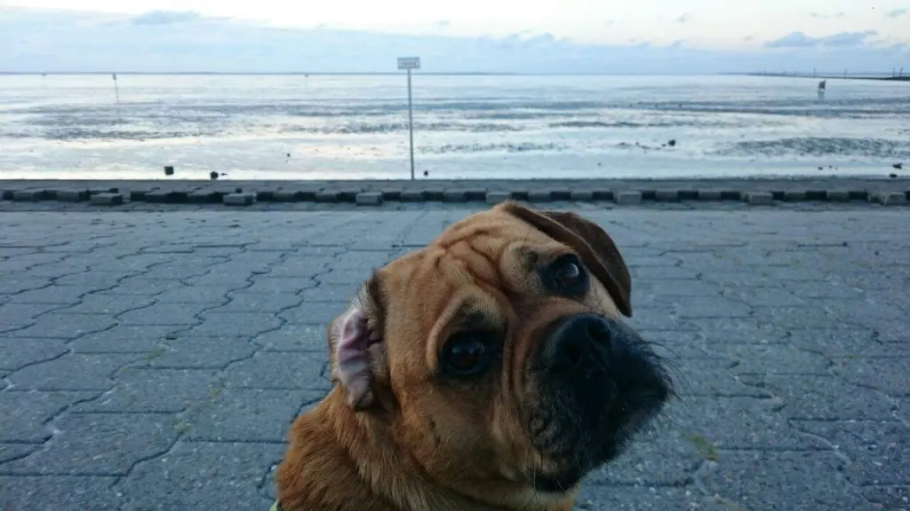 Andachtsbild von Laura mit DAG im Herzen