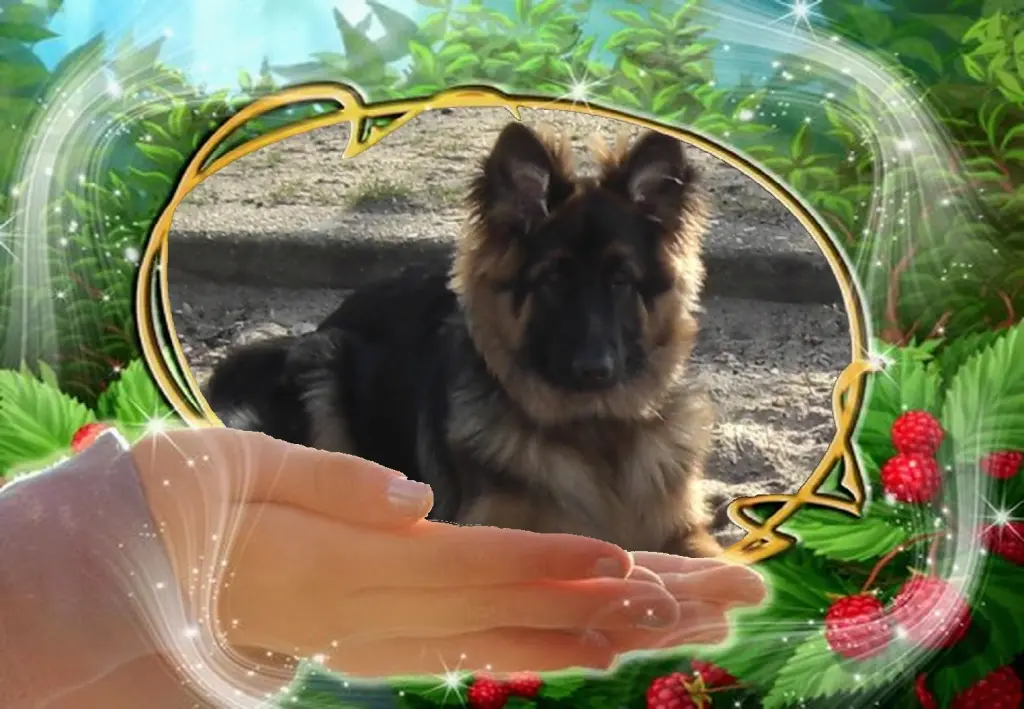 Andachtsbild von ❤❤❤Dla Ukochanego Misieńka❤❤❤