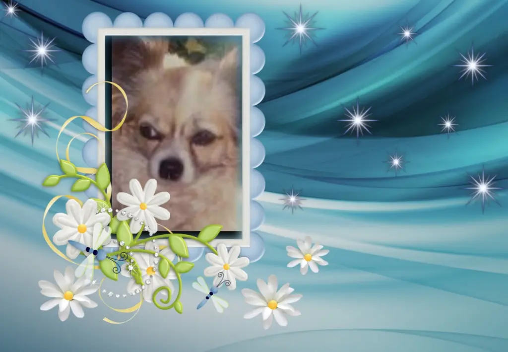 Andachtsbild von Klaudia mit Misiu❤❤❤