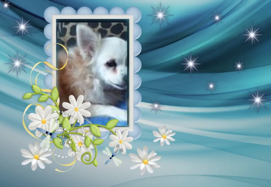 Andachtsbild von Fur Liebe Schnuckilein❤