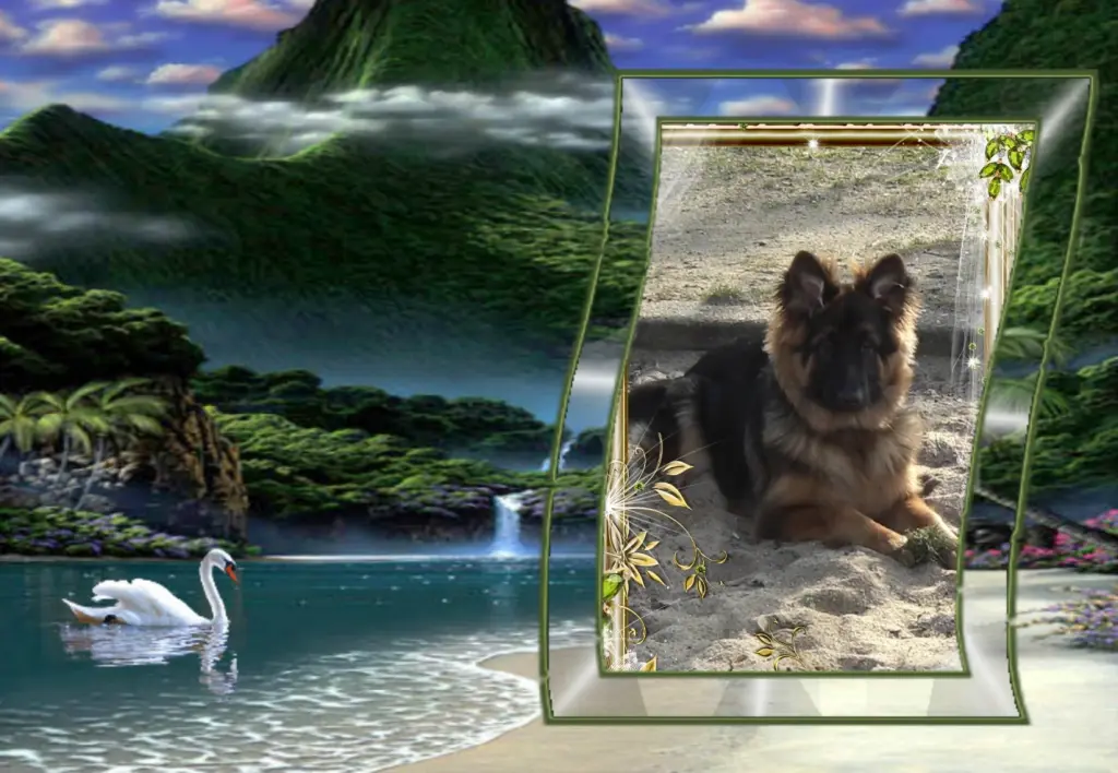 Andachtsbild von Ukochany Misiulek❤❤❤