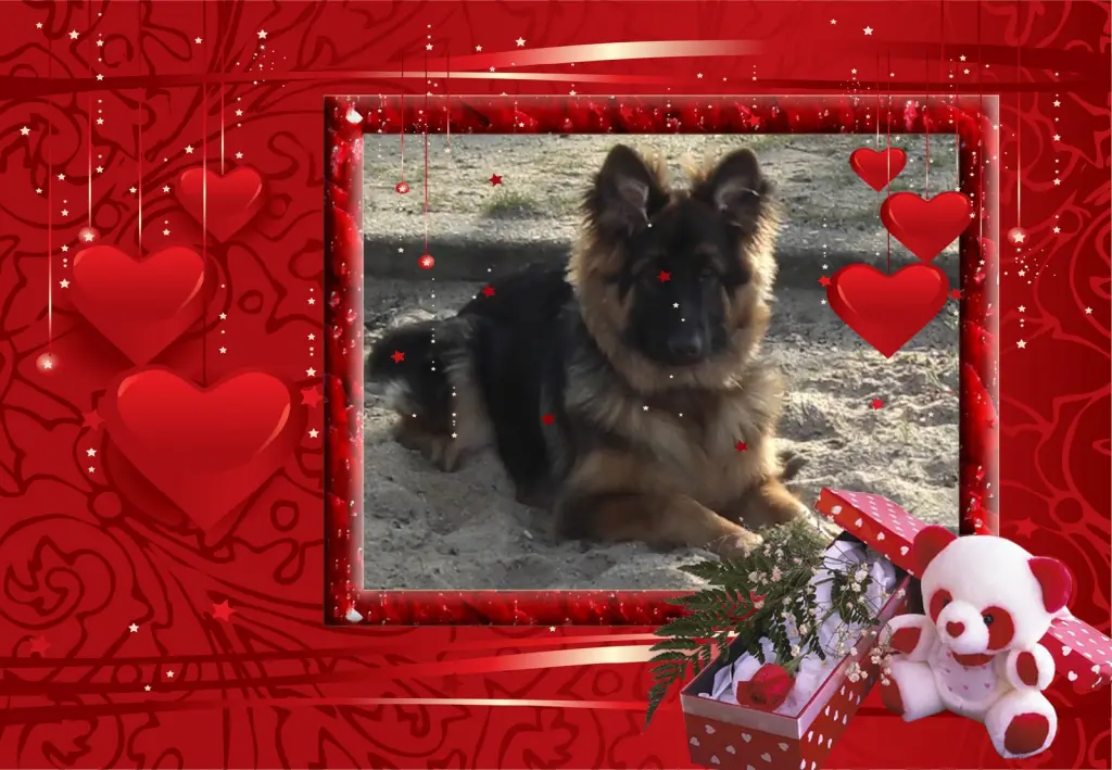 Andachtsbild von ❤❤❤Dla Kochanego Misiulka❤❤❤