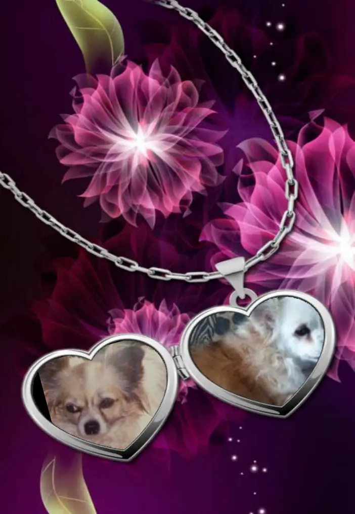 Andachtsbild von Klaudia mit Misiu❤❤❤