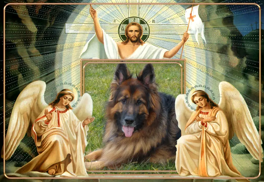 Andachtsbild von ❤❤❤Misiaczek Ukochany❤❤❤