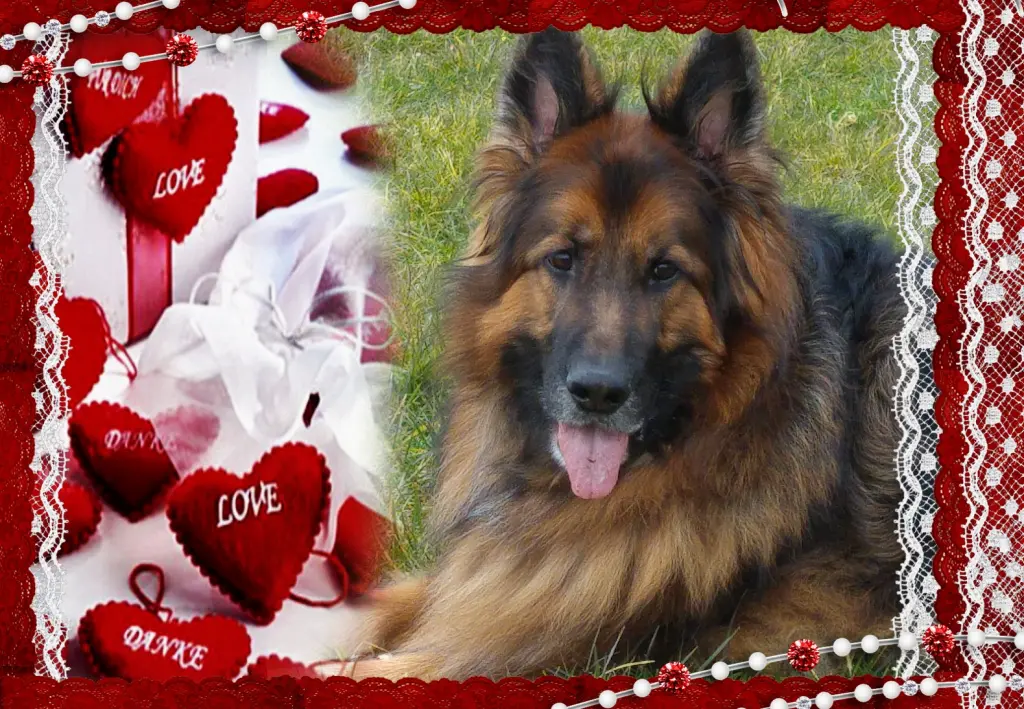 Andachtsbild von ❤❤❤Liebe Misiu❤❤❤