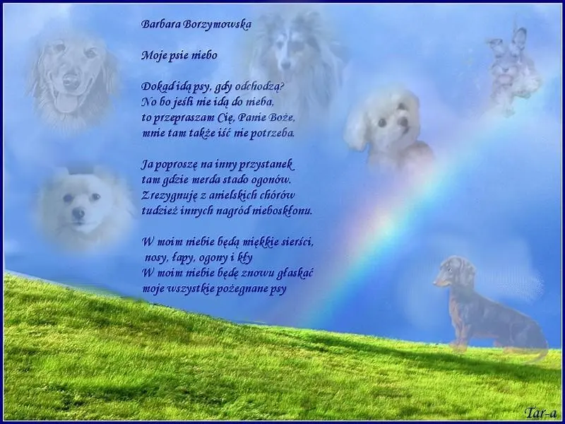 Andachtsbild von ❤❤❤Mój Misiulek❤❤❤