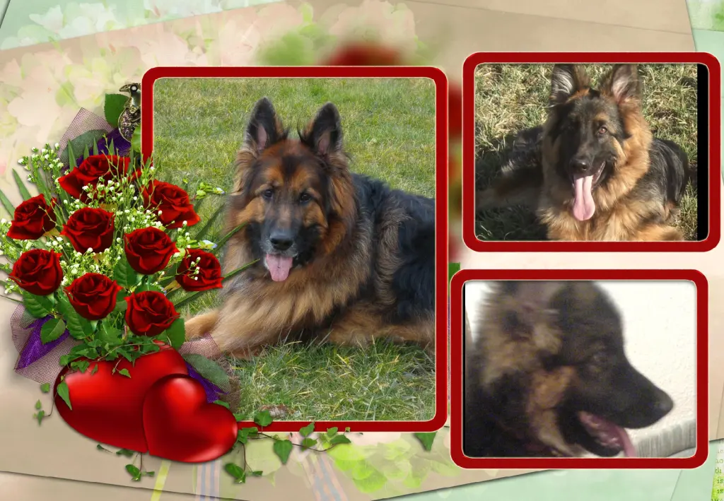 Andachtsbild von ❤❤❤Kochany Misiulek❤❤❤