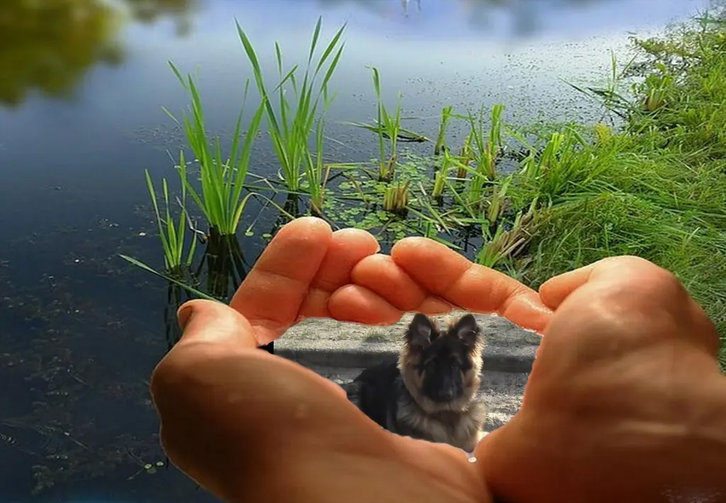 Andachtsbild von Klaudia mit Misiu❤❤❤