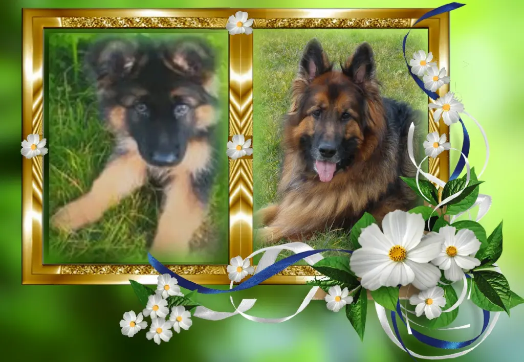 Andachtsbild von Dla Kochanego Misieńka❤❤❤