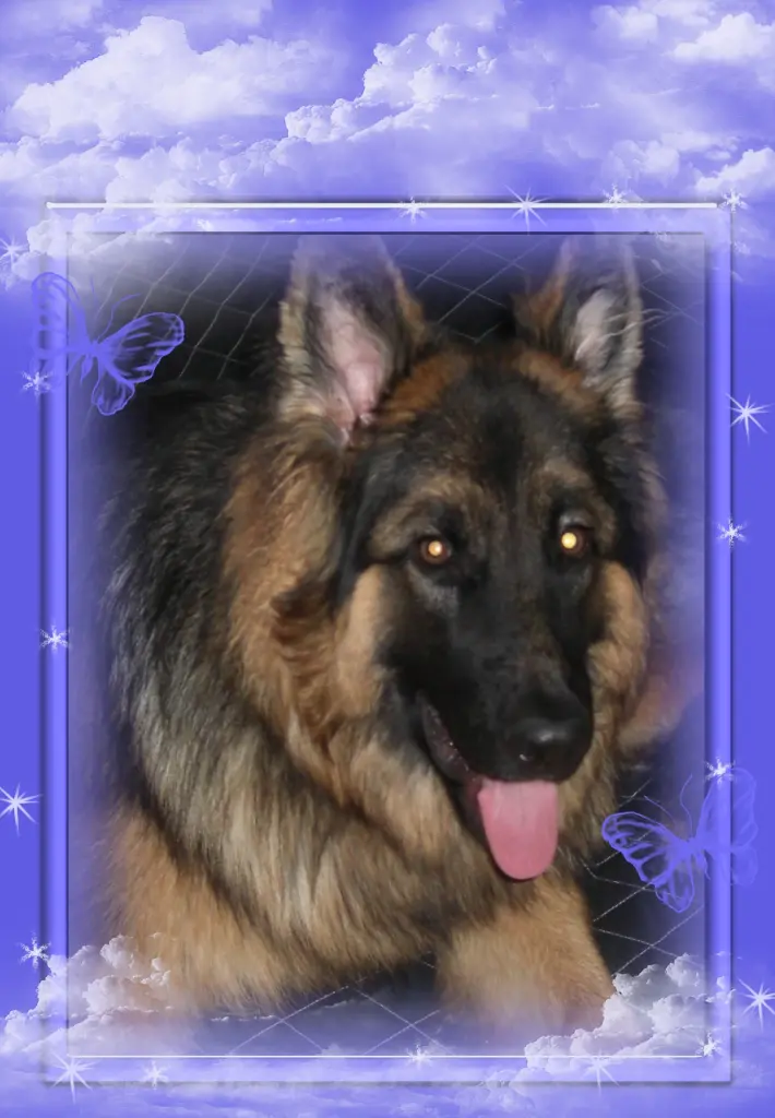 Andachtsbild von Kochany Misieńku❤❤❤