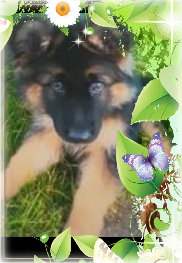 Andachtsbild von Mój Misiulek❤❤❤