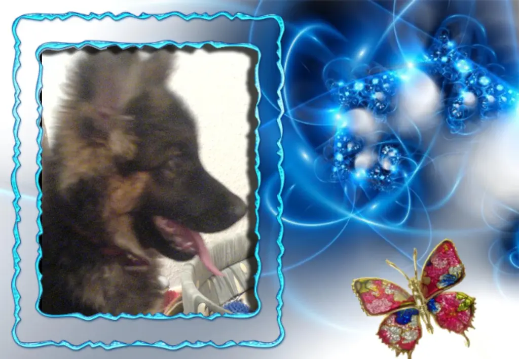 Andachtsbild von Klaudia mit Misiu❤❤❤