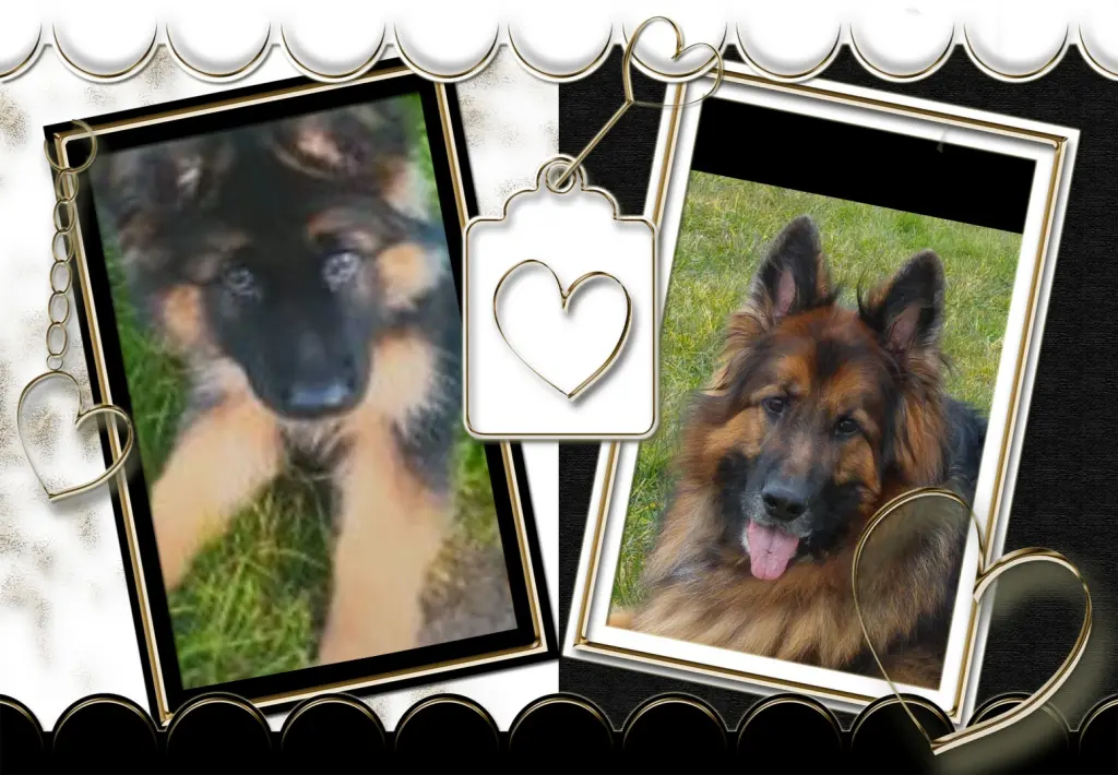 Andachtsbild von Dla Kochanego Misieńka❤❤❤