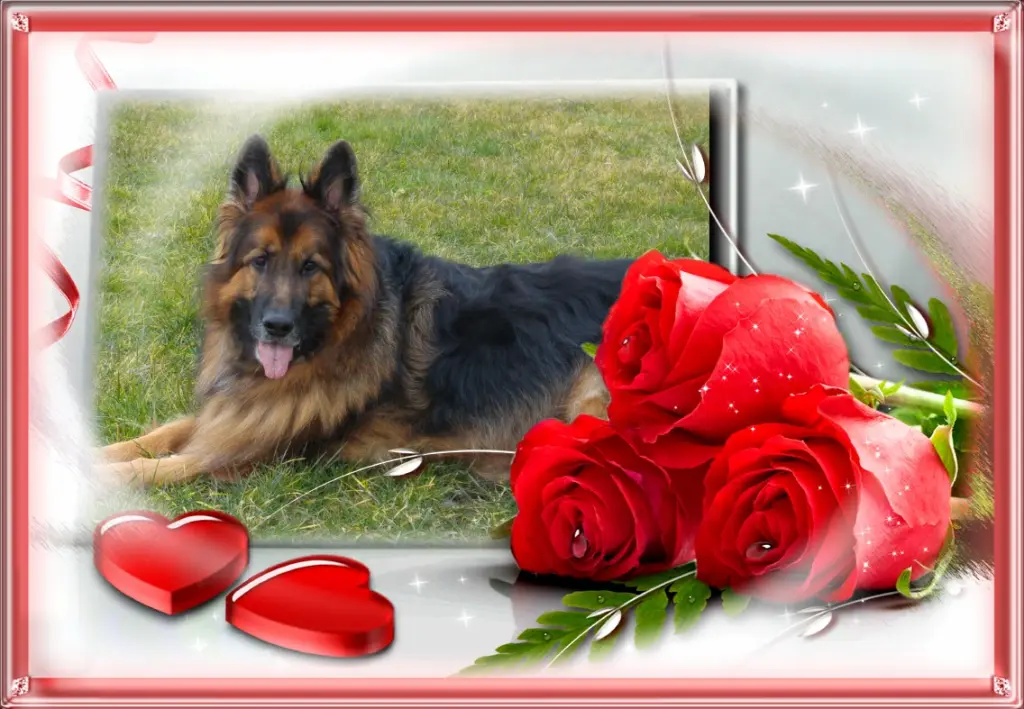 Andachtsbild von Dla Misiulka❤❤❤