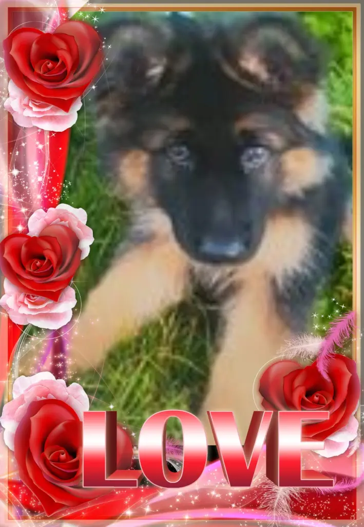 Andachtsbild von Klaudia mit Misiu❤❤❤