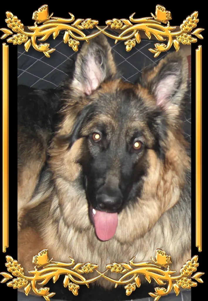 Andachtsbild von Mój Misiulek❤❤❤