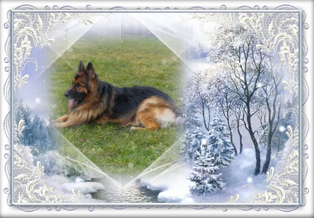 Andachtsbild von Dla Misiulka❤❤❤