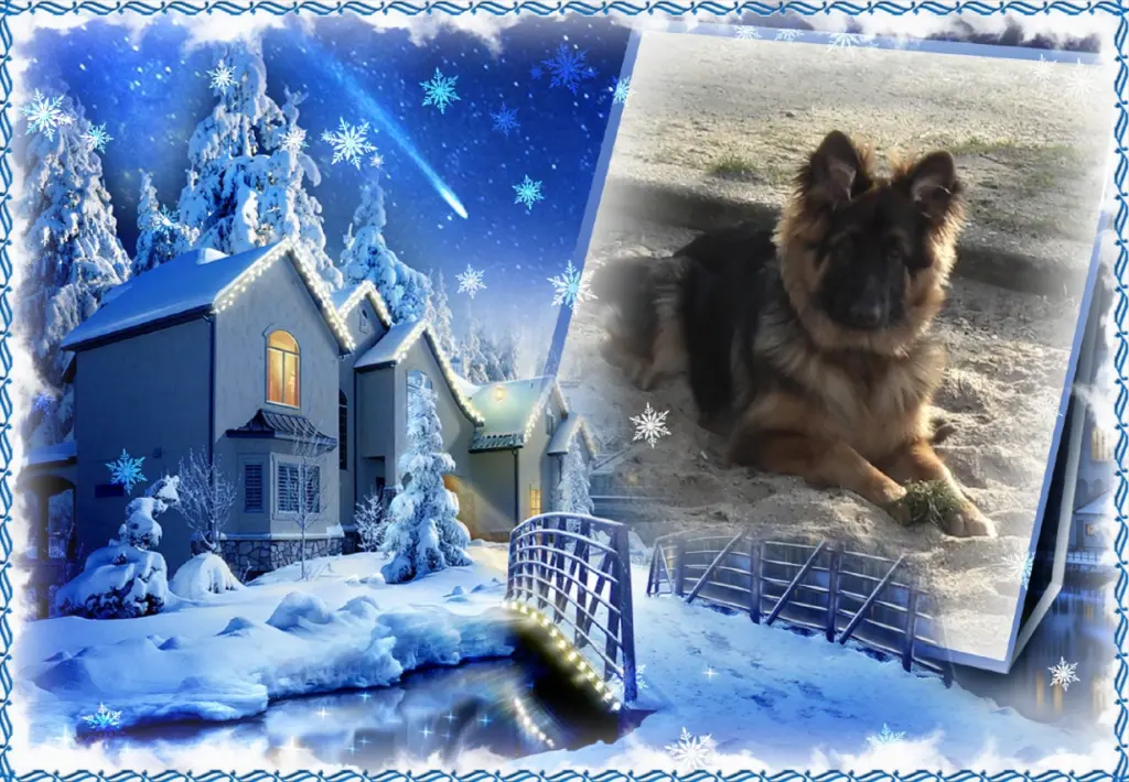 Andachtsbild von Ukochany Misiulek❤❤❤