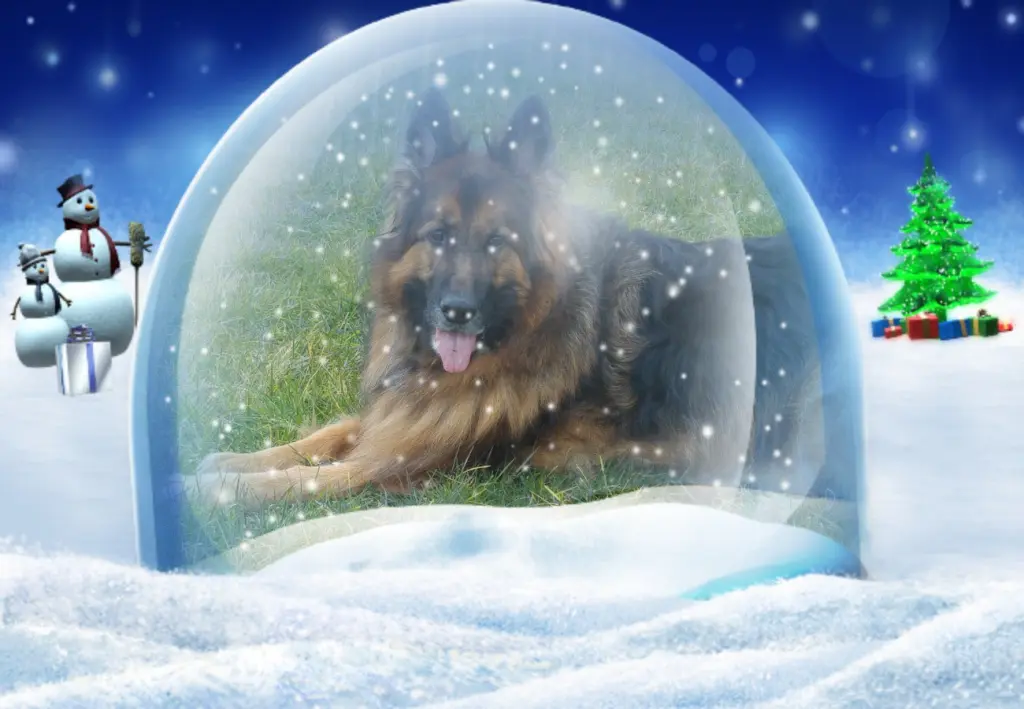 Andachtsbild von Ukochany Misiu❤❤❤