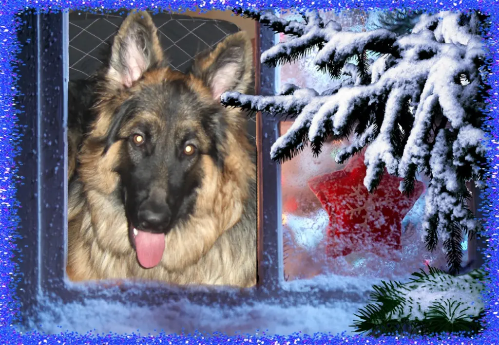 Andachtsbild von Kocham Cię❤❤❤