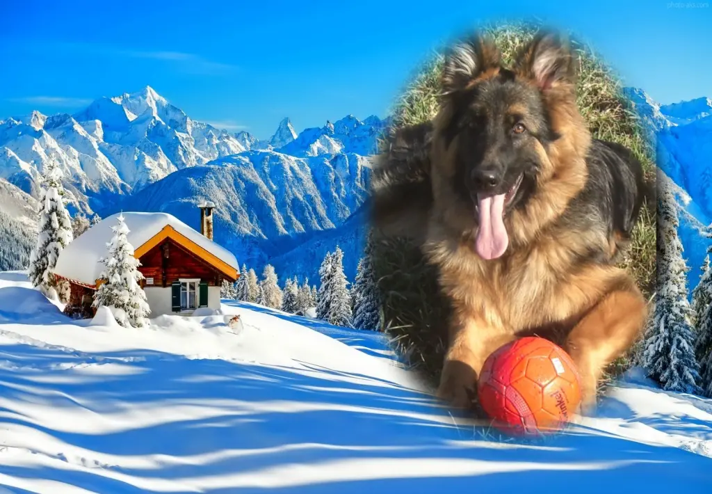 Andachtsbild von Klaudia mit Misiu❤❤❤Ganz Tief im Herzen❤