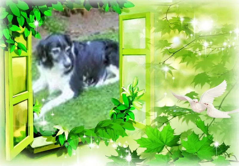 Andachtsbild von Brigitte mit Nelly im Herzen