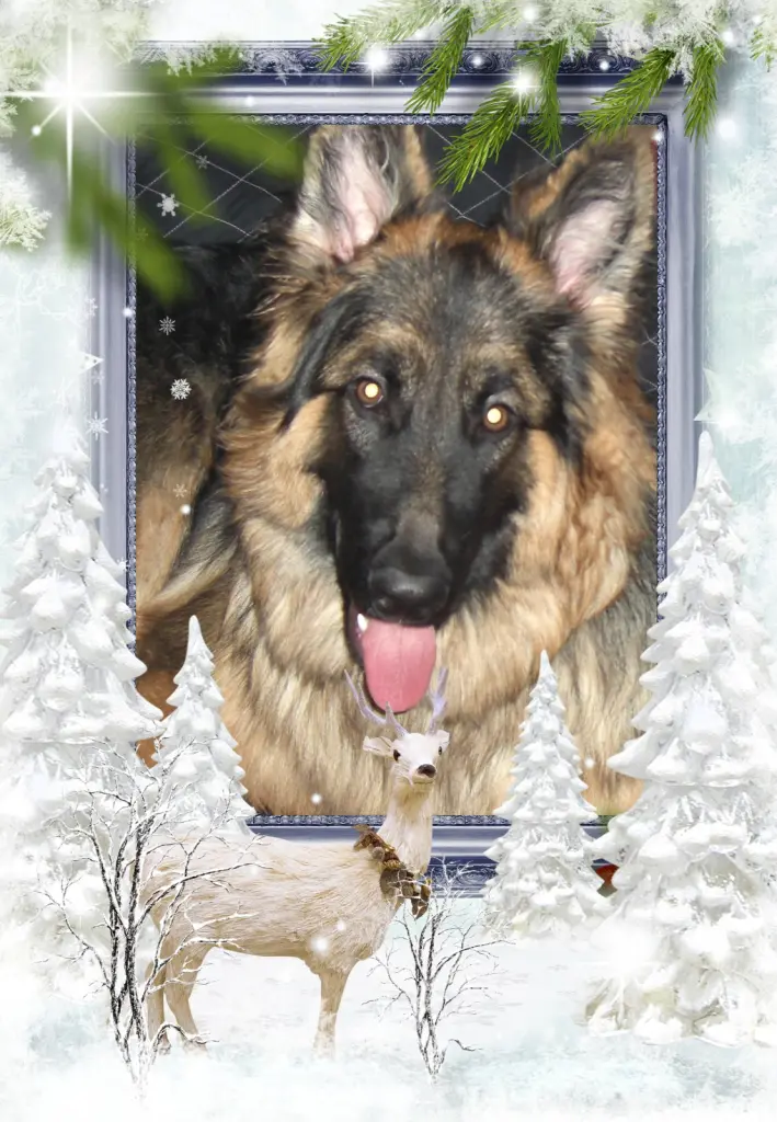 Andachtsbild von Dla Ukochanego Misieńka❤️❤️❤️